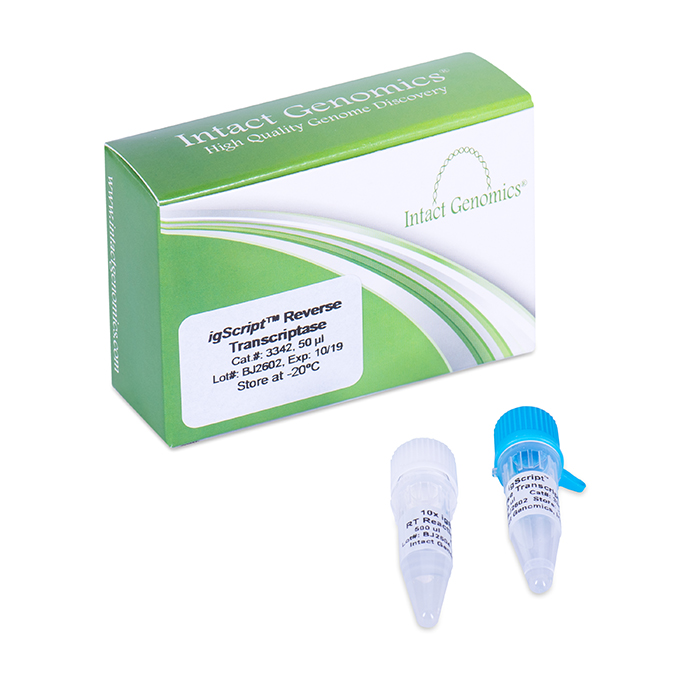 Reverse-Transcriptase